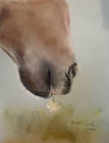 Print of Fine Art Horse Paintings by Andrée Cucullu