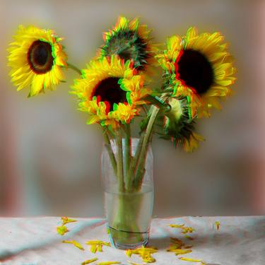 Sunflowers 1 ( Stereo 3D) - Limited Edition 1 of 7 thumb