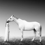 And You're Standing Alone - Limited Edition 3 of 20 by Lukas Klingora