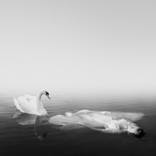 You Won't Ever Be Alone - Limited Edition 1 of 20 by Lukas Klingora