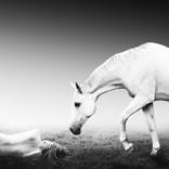 When I Found Her - Limited Edition 1 of 20 by Lukas Klingora