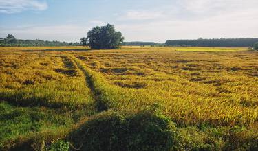 Original Fine Art Landscape Photography by Thao Vu Xuan