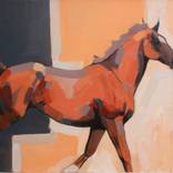 Collection New This Week 01-17-2022