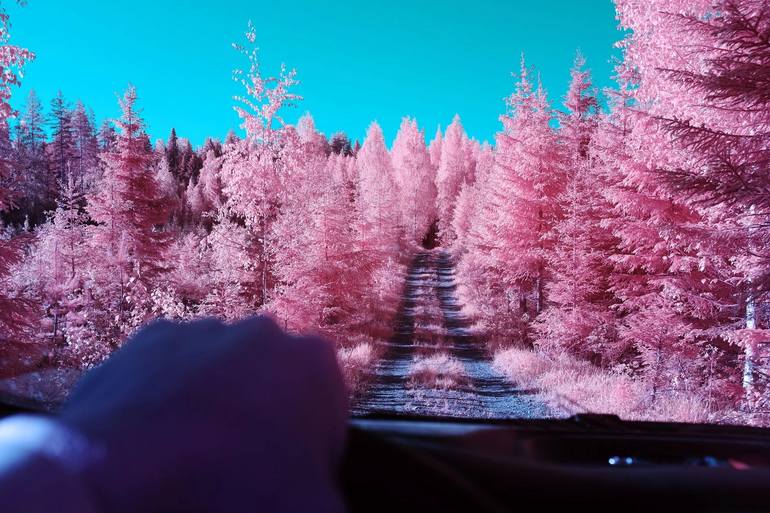 Original Travel Photography by Andre Wagner | Contemporary Art on Aluminum | On the Road: Into the Wilderness -- 82 x 124 cm