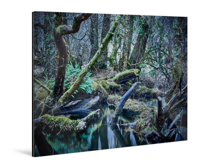 Original Other Landscape Photography by André Wagner