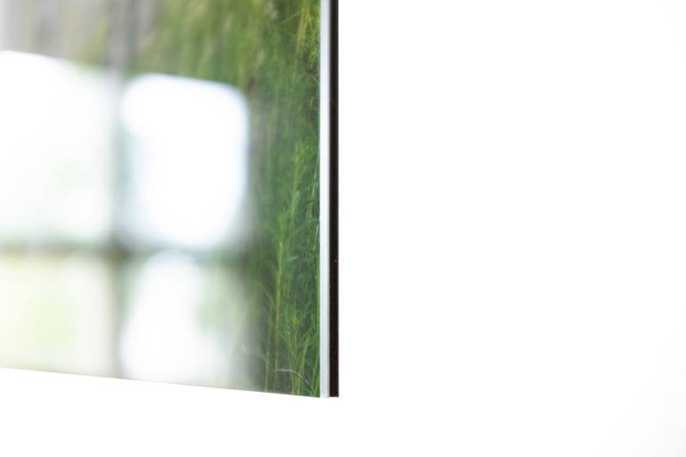 Original Other Pop Culture/Celebrity Photography by André Wagner