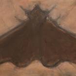 Collection New This Week 02-23-2026