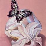 Metamorfosis del Alba by Natalia Lugovska