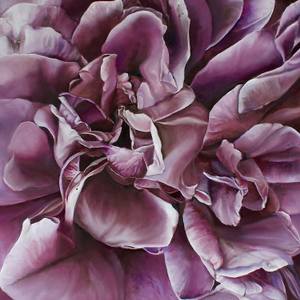 Violet Balance