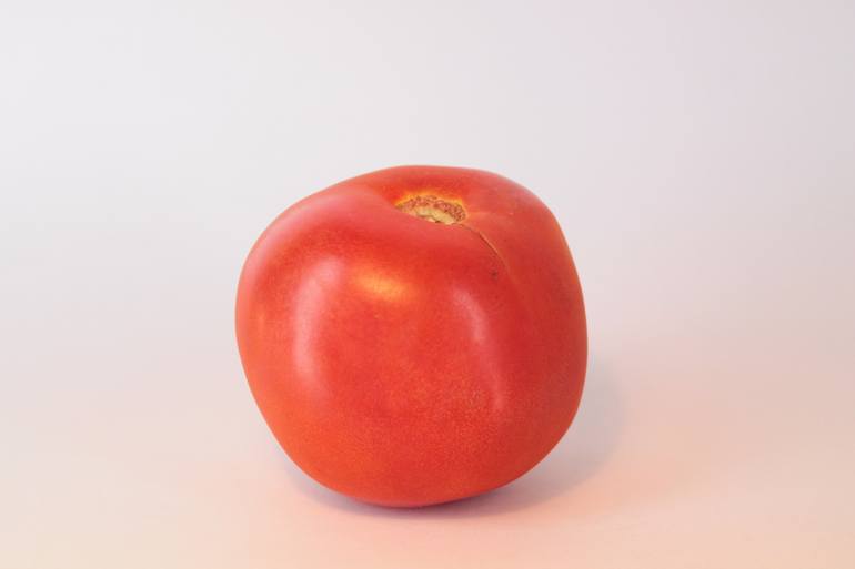 Tomato - Print