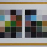 Saplings_OldGrowth - Limited Edition 1 of 3 by Jamey Gray