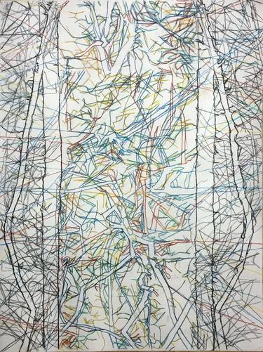Original Abstract Expressionism Nature Drawings by Kevin Ryan