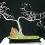 Bonsai Oriental, la escultura árbol de alambre, Tree Sculpture By Sal  Villano
