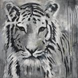 Tigre by Marisa Navarro