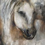 Horse by Marisa Navarro