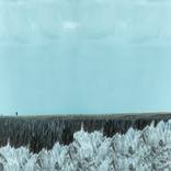 The Man who wasn't there - Gravity by ilker canikligil