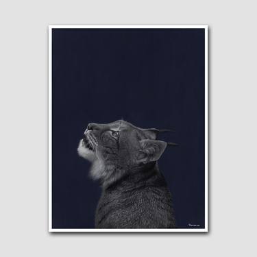 Wild Cat - Limited Edition Print -Limited Edition 2 of 10 thumb