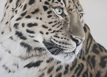 Print of Realism Animal Paintings by Franziska Treptow