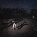 Keep your eyes on the road by Nastya Didenko