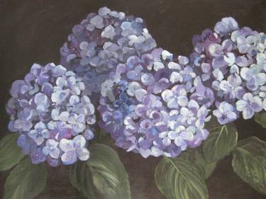 Hydrangea II thumb