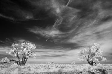 Afternoon in the Badlands thumb