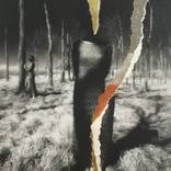 Torn at fragrant - Limited Edition of 9 by Kat Moser