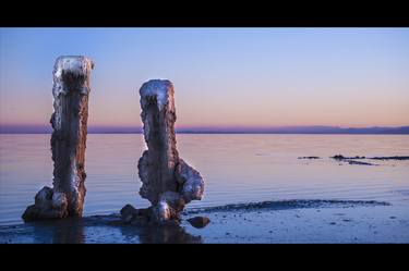 Salton Sea 2015 - Salted Pillars #109 thumb