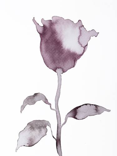 Original Botanic Paintings by Elizabeth Becker