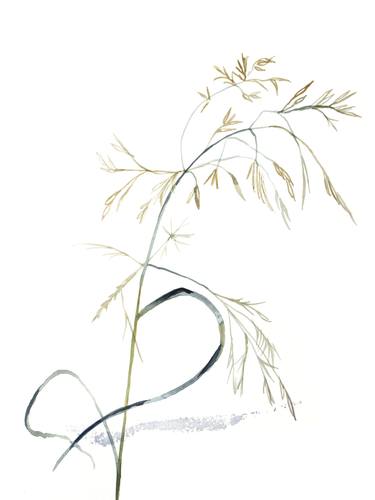 Print of Minimalism Botanic Paintings by Elizabeth Becker