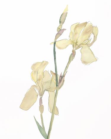 Print of Minimalism Botanic Paintings by Elizabeth Becker