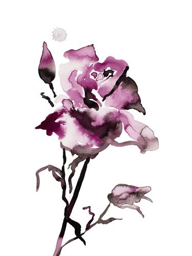 Original Botanic Paintings by Elizabeth Becker