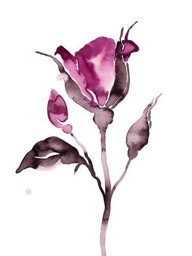 Original Botanic Paintings by Elizabeth Becker