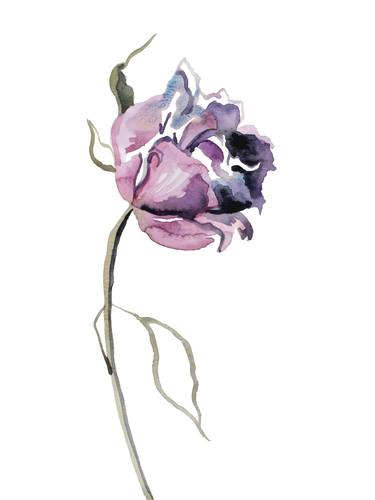 Original Botanic Paintings by Elizabeth Becker