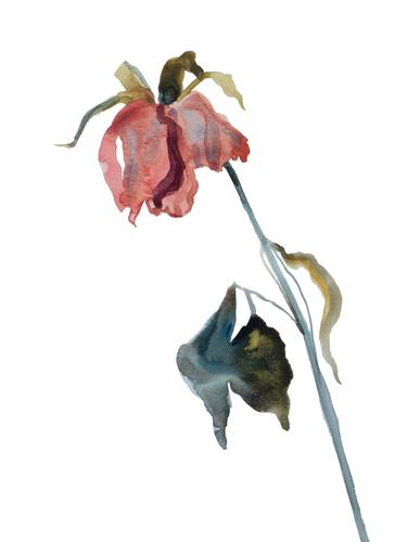 Print of Expressionism Botanic Paintings by Elizabeth Becker