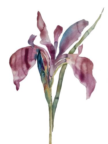 Original Floral Paintings by Elizabeth Becker