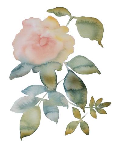 Original Floral Paintings by Elizabeth Becker