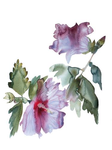 Original Botanic Paintings by Elizabeth Becker