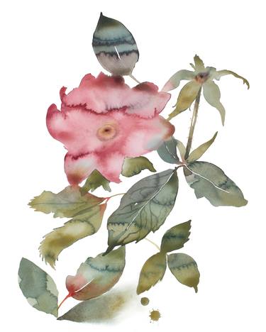 Print of Expressionism Botanic Paintings by Elizabeth Becker