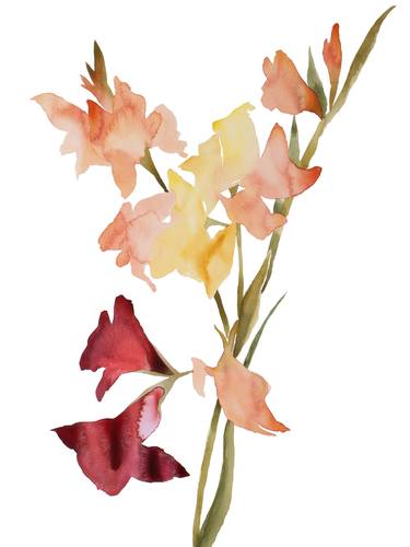 Print of Expressionism Floral Paintings by Elizabeth Becker