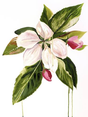 Original Expressionism Botanic Paintings by Elizabeth Becker
