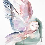 Collection Art for Fresh Starts