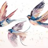 Swallows in Flight No. 48 by Elizabeth Becker