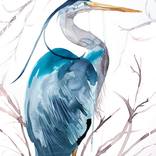Heron No. 33 by Elizabeth Becker
