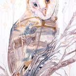 Barn Owl No. 9 by Elizabeth Becker