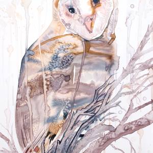Barn Owl No. 9