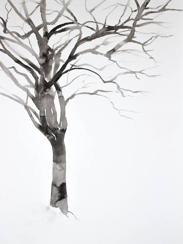 Original Tree Paintings by Elizabeth Becker