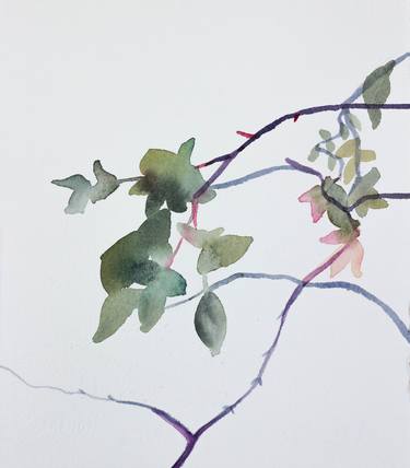 Original Nature Paintings by Elizabeth Becker