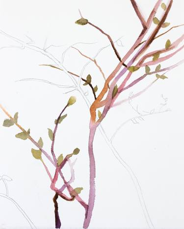 Print of Nature Paintings by Elizabeth Becker