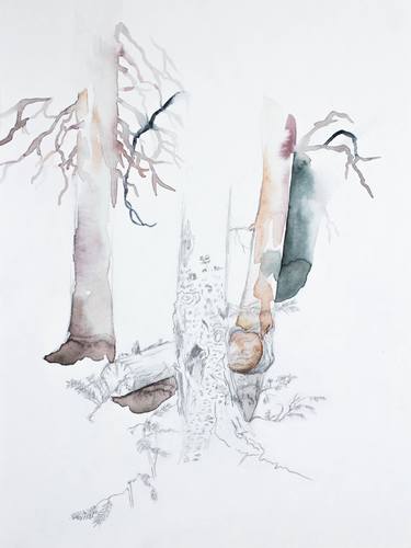 Print of Nature Paintings by Elizabeth Becker