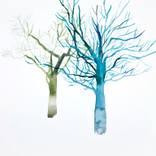 Collection Limited Winter Collection: Let It Snow